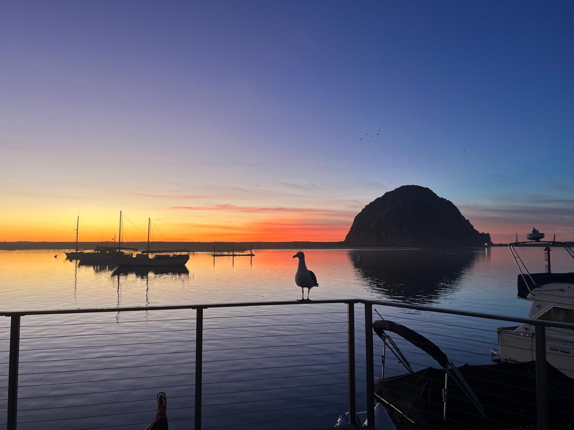 Harborwalk Inn Morro Bay Ngoại thất bức ảnh